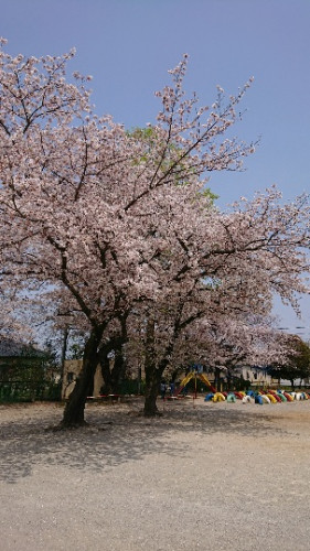 DSC_0091.JPG