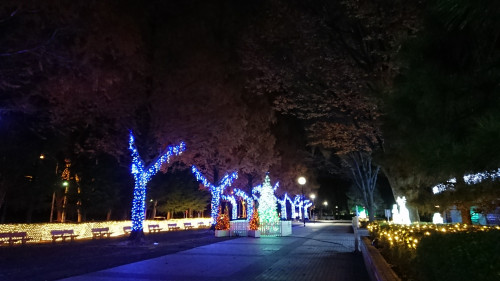 DSC_0241.JPG