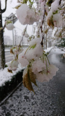 DSC_0289.JPG