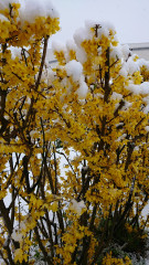 DSC_0295.JPG