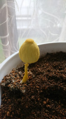 thumbnail_DSC_0362.jpg