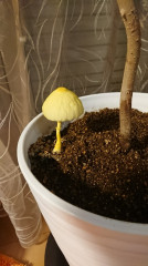 thumbnail_DSC_0363.jpg
