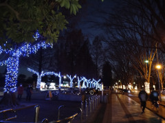 DSC_0065.JPG
