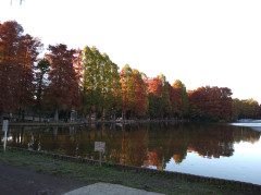 DSC_0282.JPG