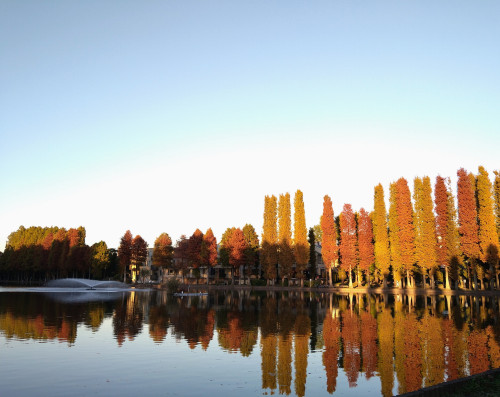 DSC_0285_2.JPG