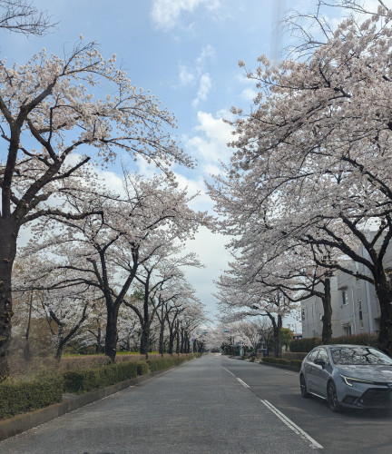 PXL_20250407_042313731.jpg