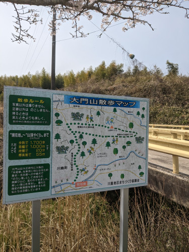 2桜道あんない.jpg