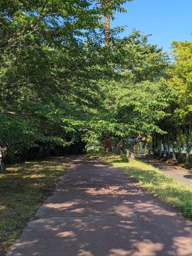 ４散歩道.jpg