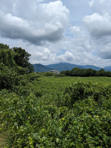 3町役場.jpg