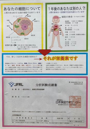 新チラシ２.jpg
