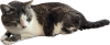 IMG_3182.png
