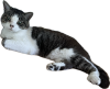 被写体 3.png