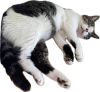 被写体 4.png