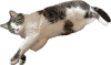 被写体 5.png