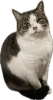 被写体 6.png