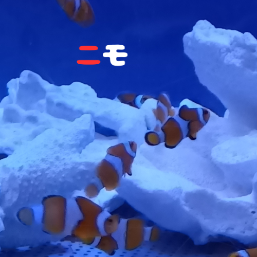 二モ2.png