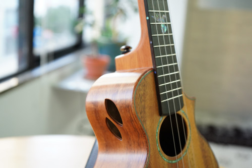 【Naturel ukulele】 コンサートウクレレ入荷しました