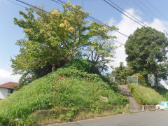 DSCF4384.JPG
