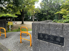 IMG_3619.jpeg