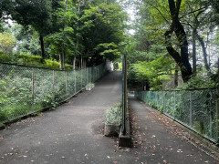 IMG_3620.jpeg