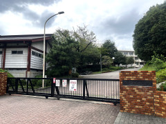 IMG_3603.jpeg