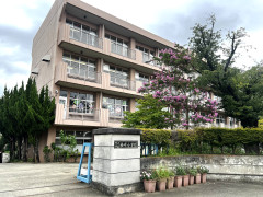 IMG_3632.jpeg