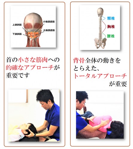 首と背骨 2.png
