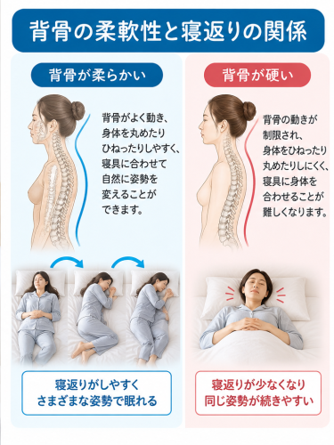 rakubiya_spine_sleep_turning.png