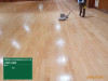 20241008-081322.jpg