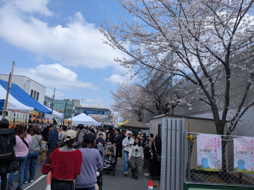 さくら祭り会場１.jpg