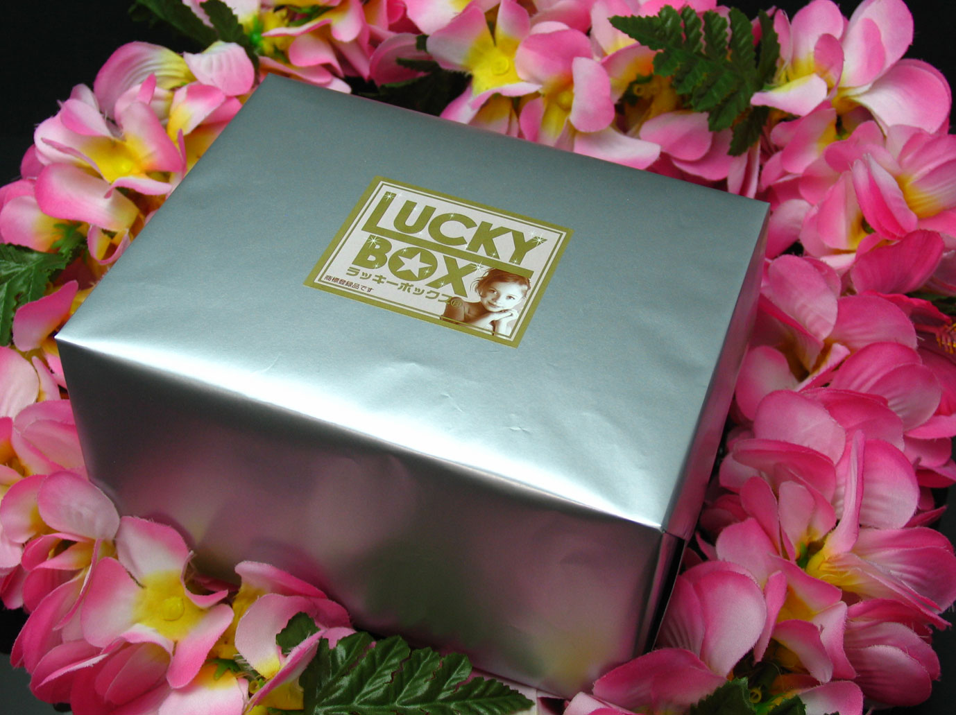 プラチナ セレブ BOX - お宝市場 お台場店 | ☆お台場観光☆ LUCKY BOX
