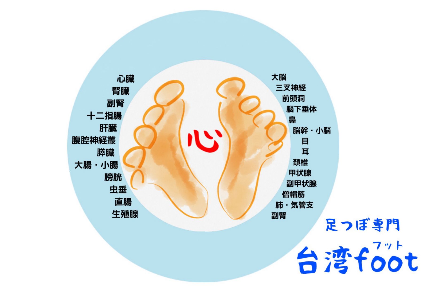 メニュー 武蔵村山 足つぼ専門 台湾foot
