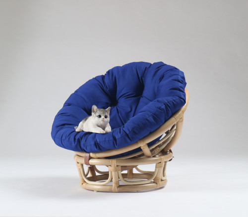 Pet Chair