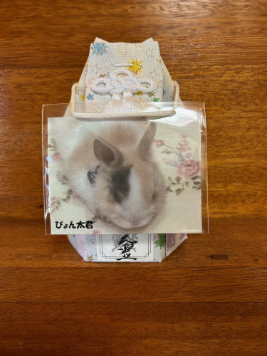 ぴょん太君納骨堂.jpg