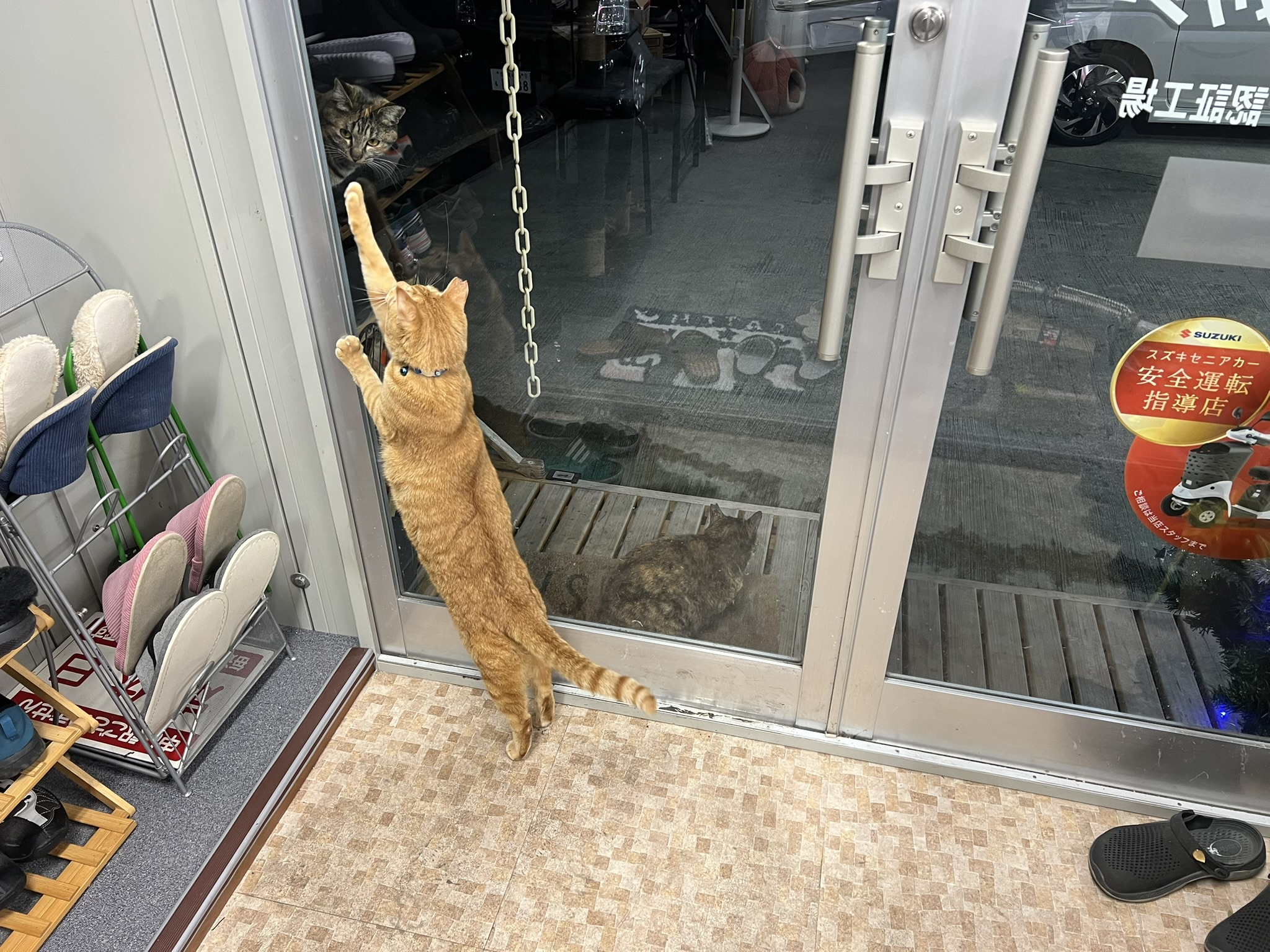 年末年始、休業日についてのお知らせです😸