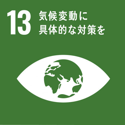 sdg_icon_13_ja.png