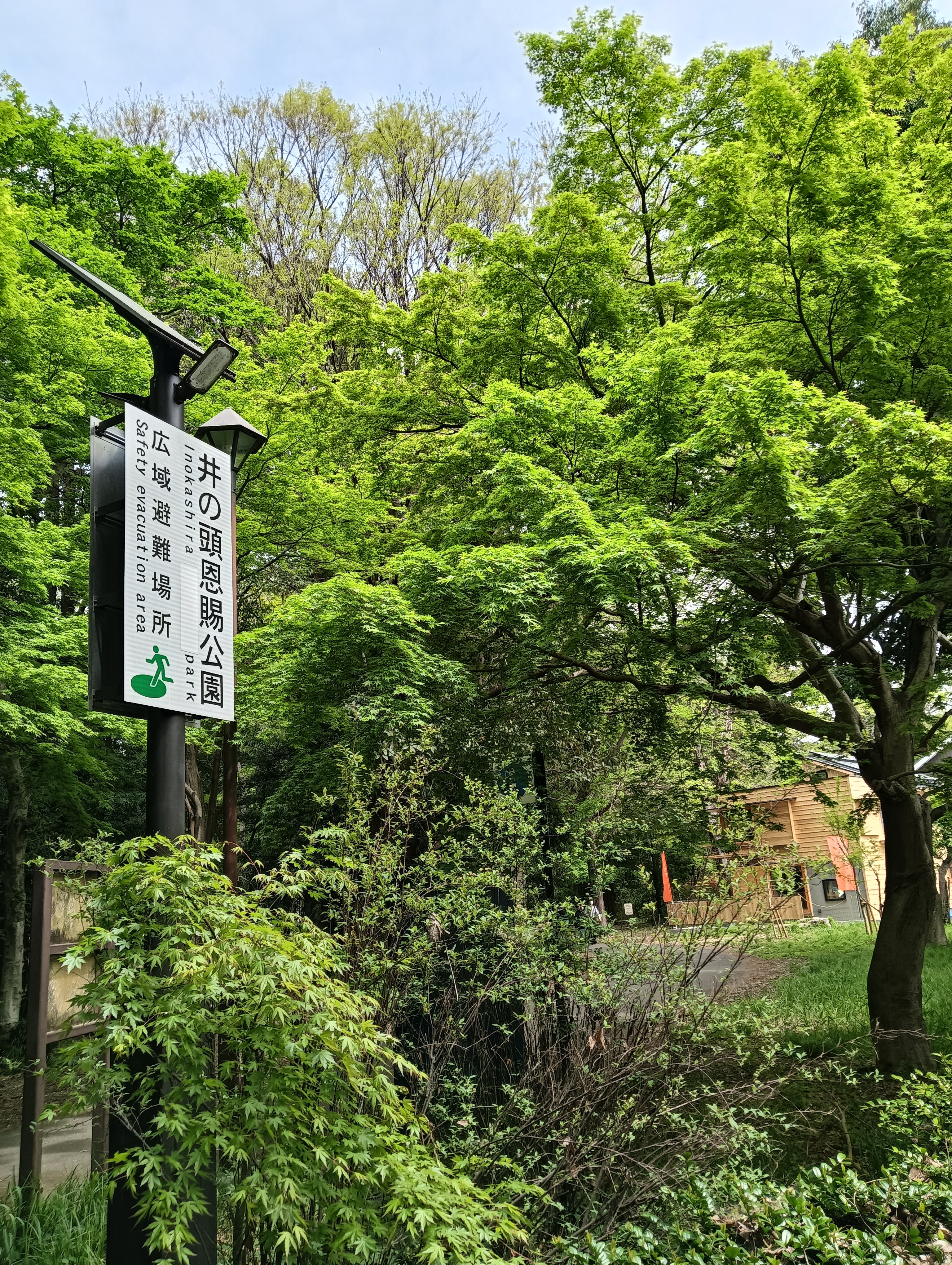 【５月のキャンペーン】かっさフェイシャル+パーツボディ