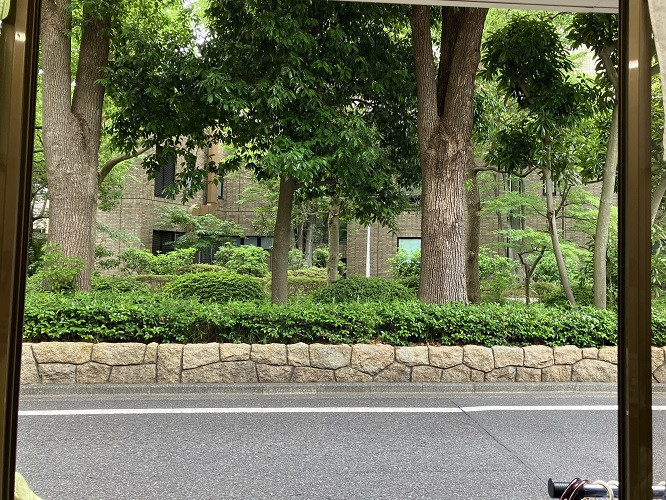 店の前は親水公園。その向こうに、江戸川区総合文化センター（ただいま改修工事中です）