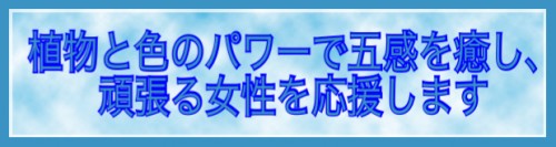 1485788427870.png