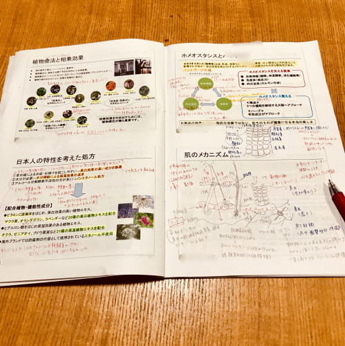 F3774707-D345-4627-A1E8-325823B54297.jpeg