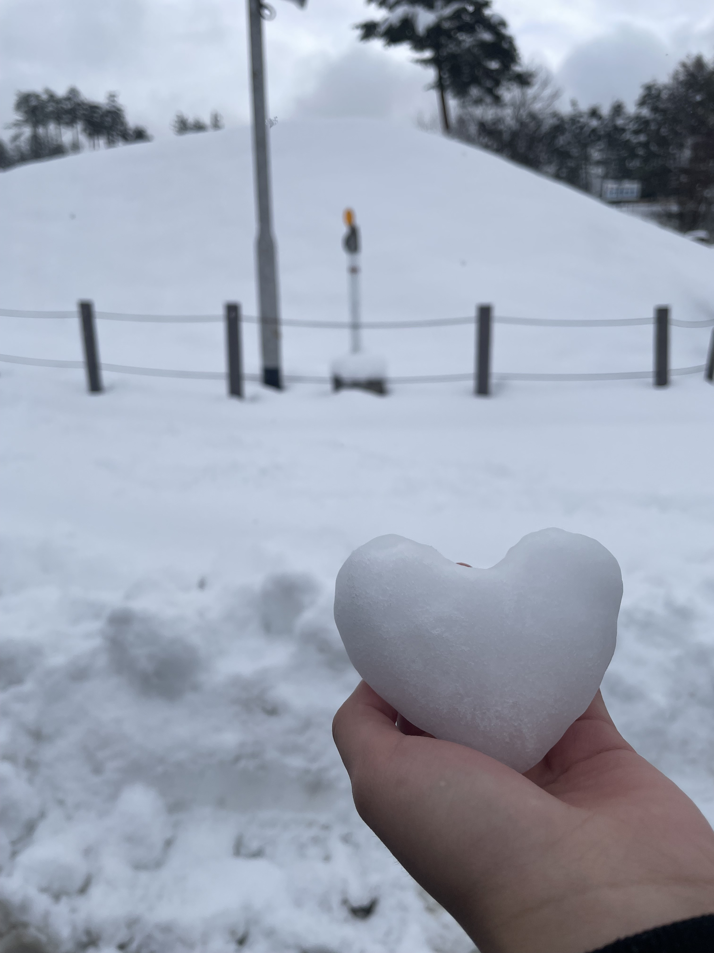 気がつけば節分2026