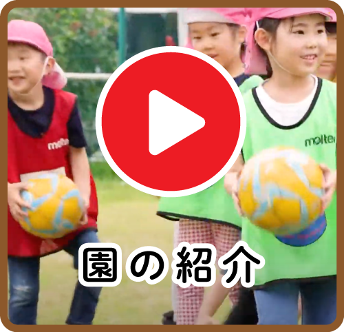 園の紹介