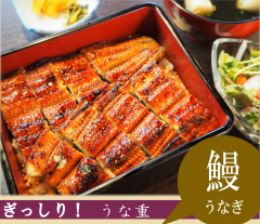 うなぎ、始めました。