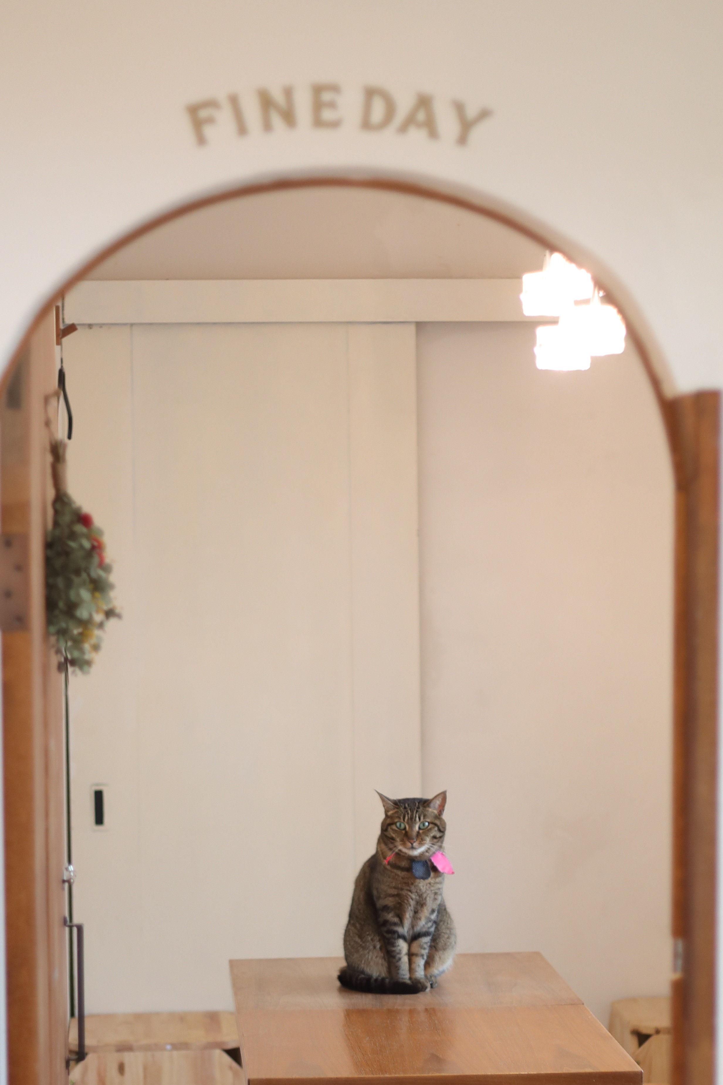 年末年始営業（31日猫納め！）