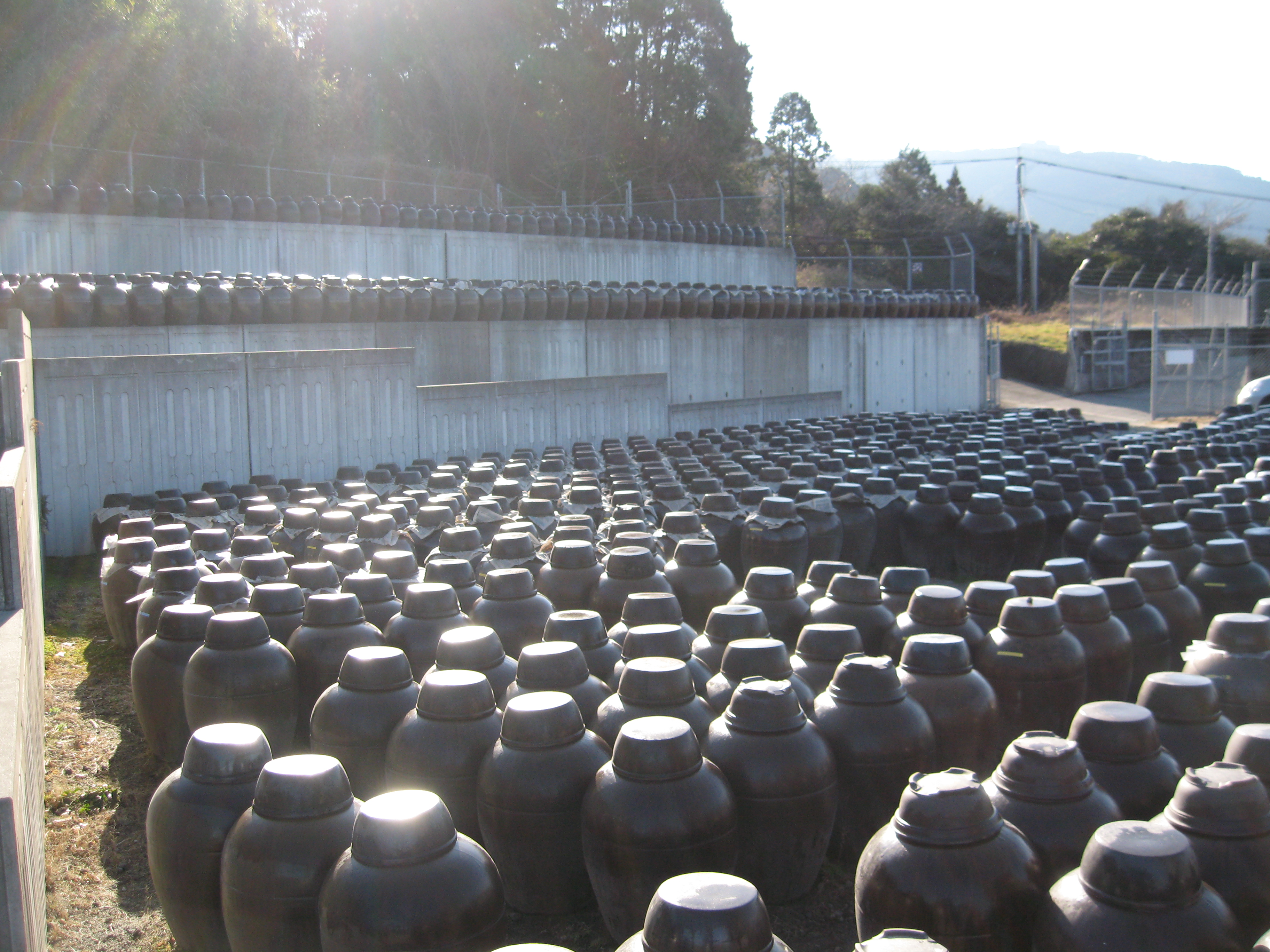 壺畑20110215-1８.JPG