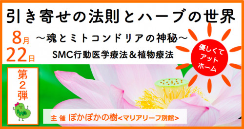 ぽか180822.png