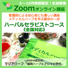 HT-zoom2020小.png