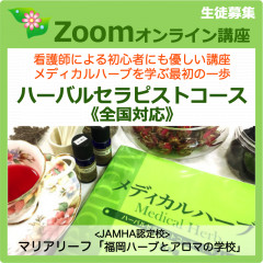 HT-zoom-2-2020小.png