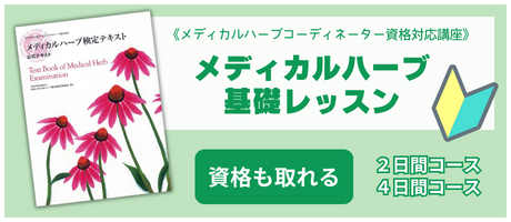 ▶︎メディカルハーブ基礎レッスン