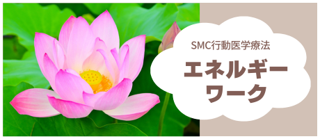 SMC行動医学療法のエネルギーワーク